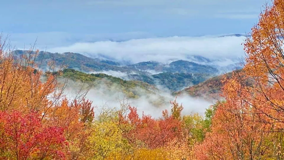 A stunning view of vibrant autumn foliage cascading across rolling hills and misty valleys. The landscape is serene and picturesque, inviting exploration, photography, and romantic walks.