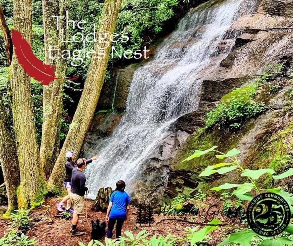 This image captures a lively moment with people exploring a lush, green landscape and a charming waterfall set against a backdrop of trees. The presence of hikers and pet walkers highlights the area's appeal for adventure and outdoor discovery.