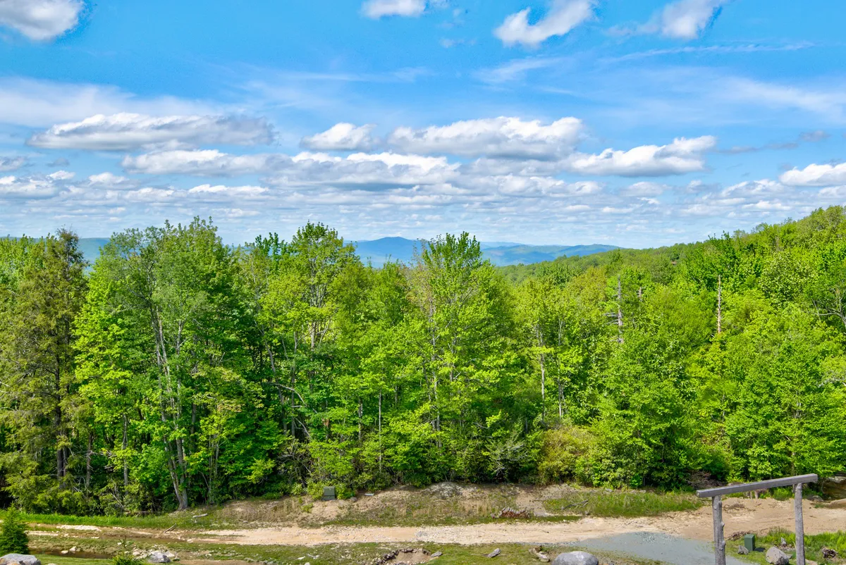 A tranquil pathway meanders through lush green trees, with distant mountains and a bright blue sky overhead. The scene suggests endless opportunities for hiking, nature walks, and wildlife spotting.